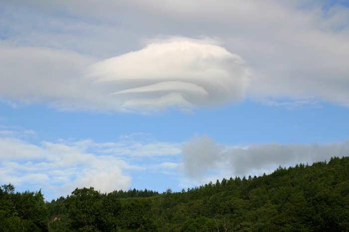 Lenticularis