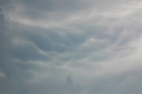 Altocumulus mammatus