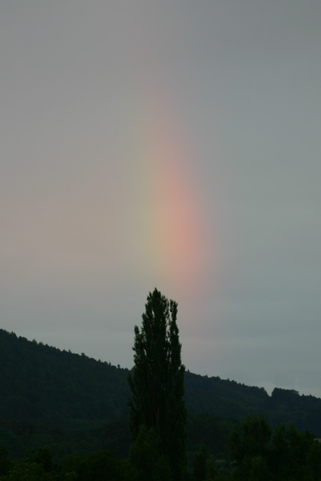 Roter Regenbogen 