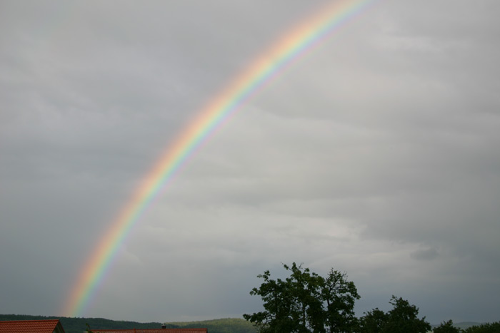 Regenbogen