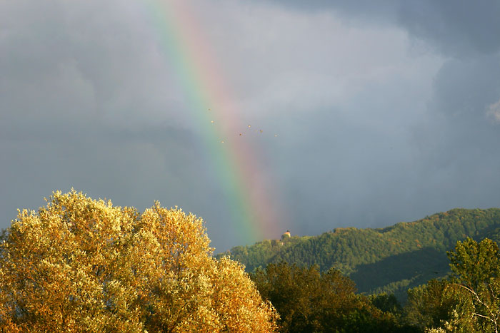 Regenbogen Ruine Bodman