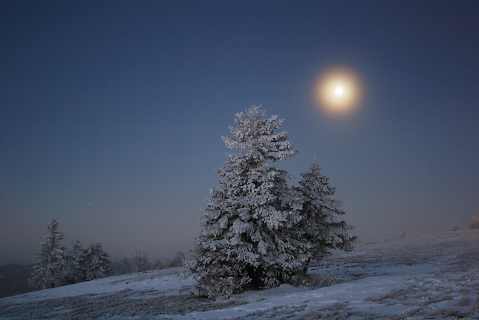 Mondkranz Schneelandschaft