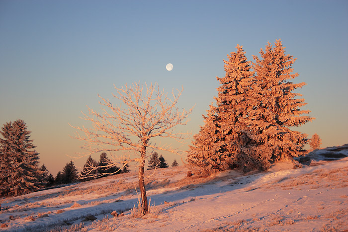 Monduntergang Schneelandschaft Feldberg