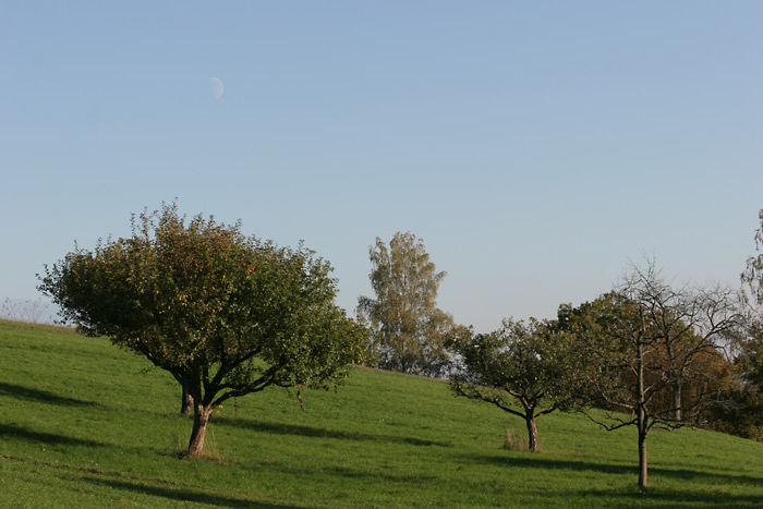 Mond Gttingen