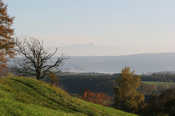  Güttingen