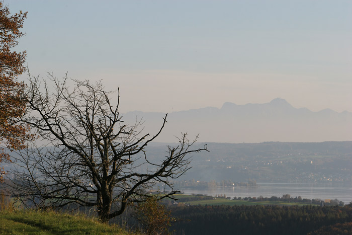 Sntis mit Bodensee von Gttingen