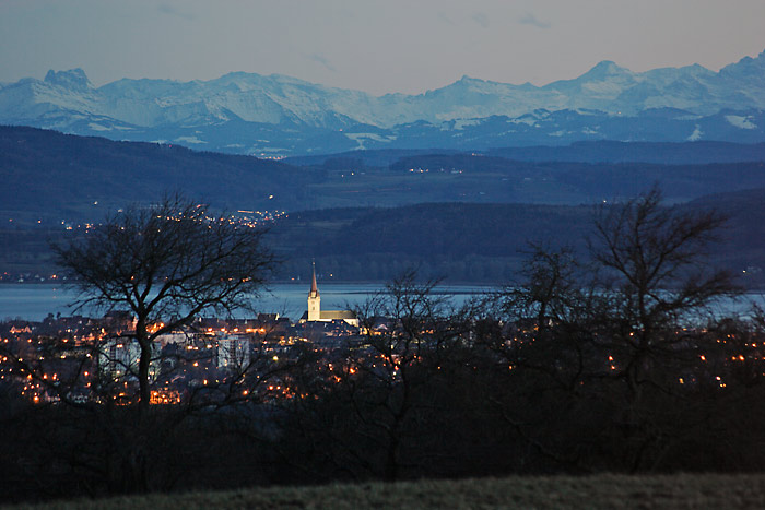 Radolfzell Münster