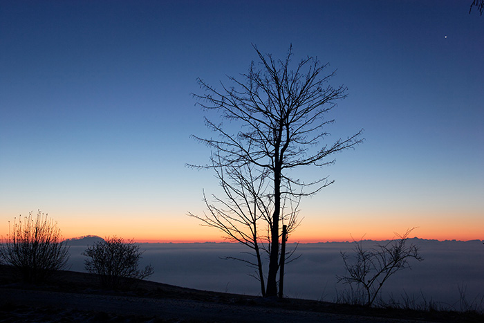 Morgendämmerung Hegau