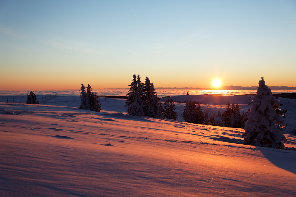 Feldberg Schwarzwald