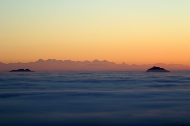 Berner Alpen mit Hohenstoffeln und Hohenhewen im Nebelmeer