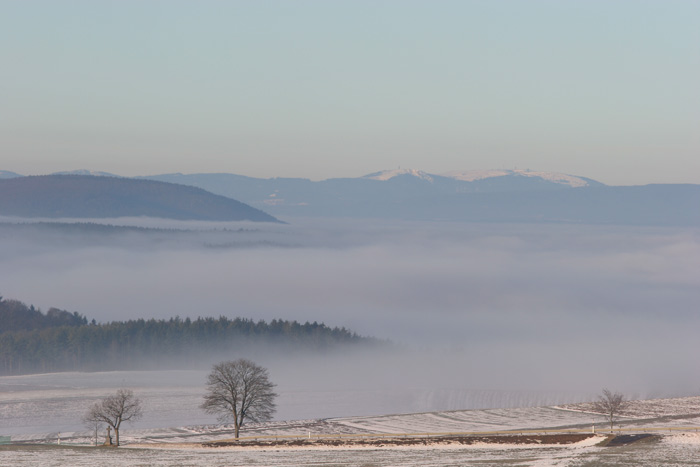 Feldberg Seebuck