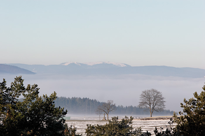 Feldberg Seebuck