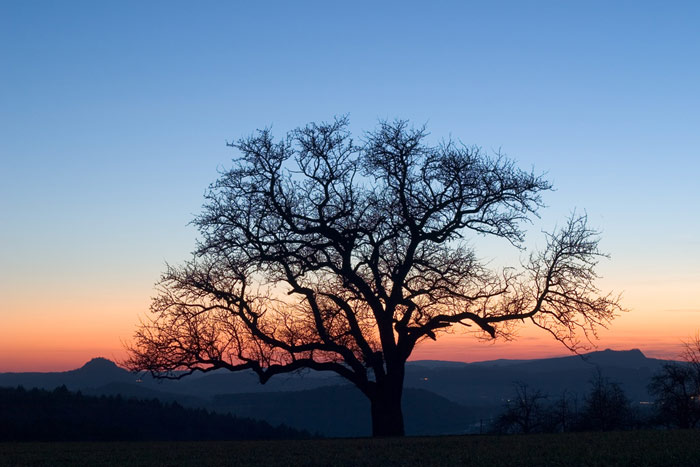 Hohentwiel und Hohenstoffeln, Hegau im Abendrot