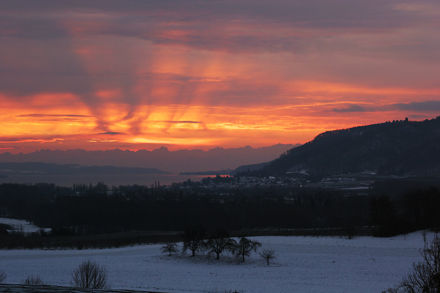 Bodensee