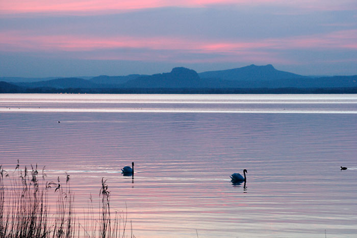 Insel Reichenau