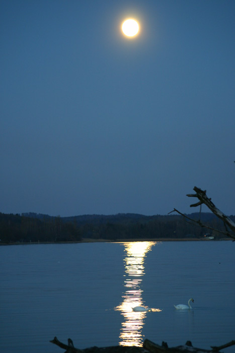 Vollmondaufgang Mettnau Karfreitag