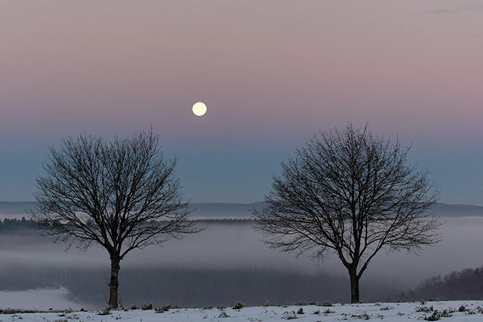 Vollmond Nebel