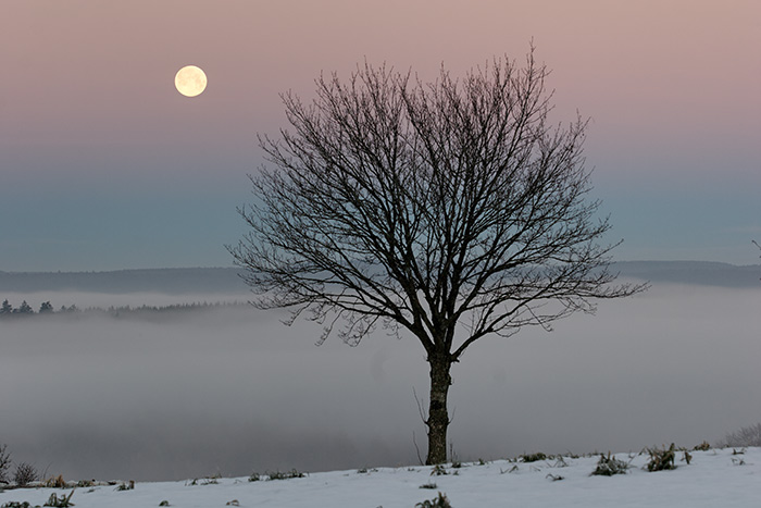 Vollmonduntergang