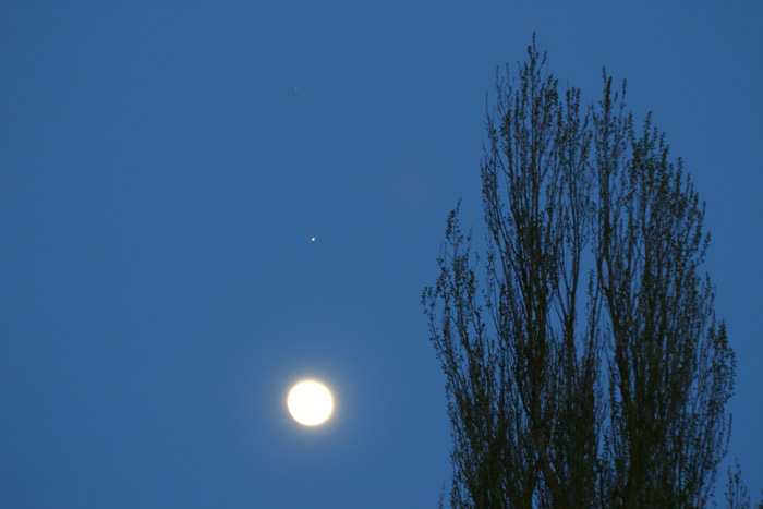 Jupiter Mond