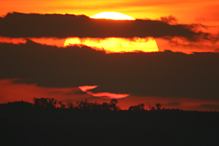 Sonnenuntergang ber Wald bei Mauenheim im Hegau