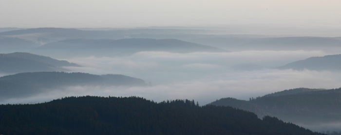 Nebellandschaft auf dem Feldberg Schwarzwald