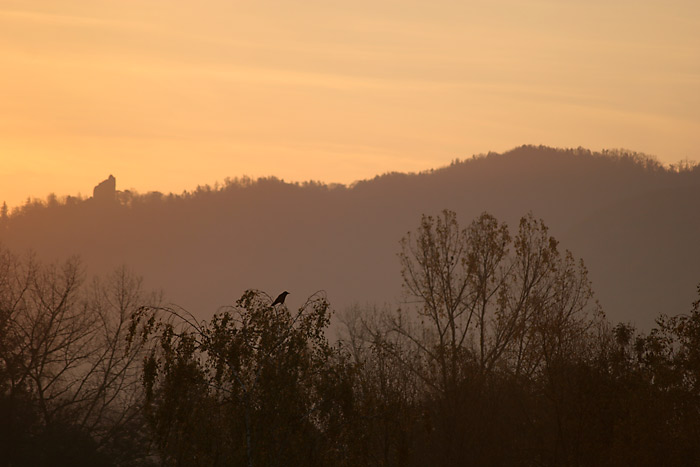 Sonnenaufgang in Wahlwies mit Ruine Bodman