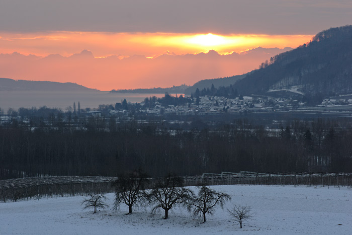 Sonnenaufgang Alpenkette berlinger See Bodman von  Wahlwies