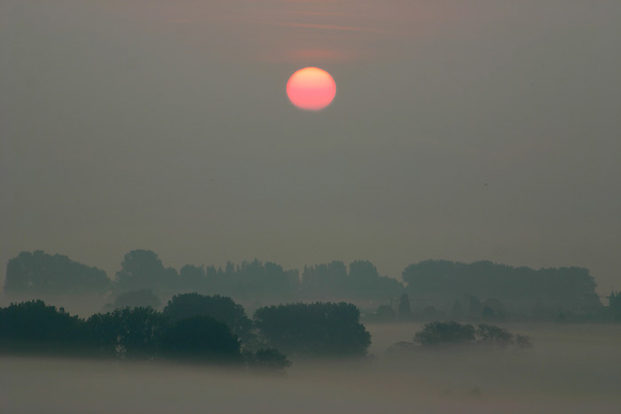 Galgenberg Sonnenaufgang Nebelmeer berlingen am Ried