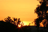 Sonnenaufgang Wahlwies
