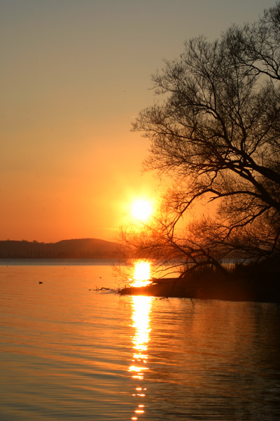 Sonnenuntergang Bodensee Mettnau Radolfzell