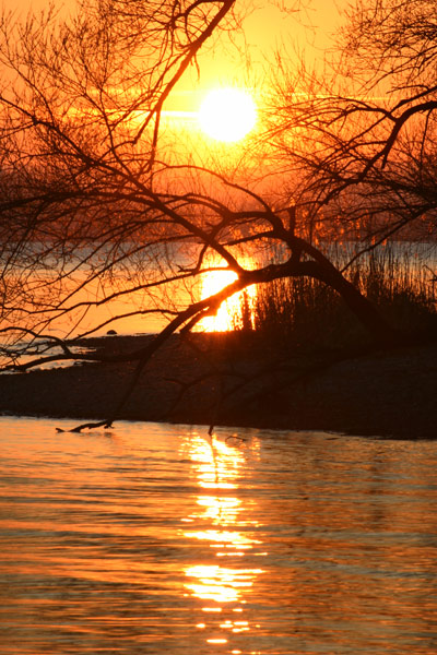 Sonnenuntergang Bodensee Mettnau Radolfzell