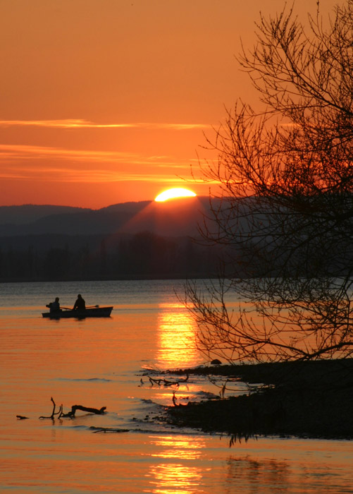 Sonnenuntergang Bodensee Mettnau Radolfzell Ruderboot