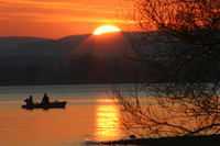 Ruderboot Mettnau Sonne