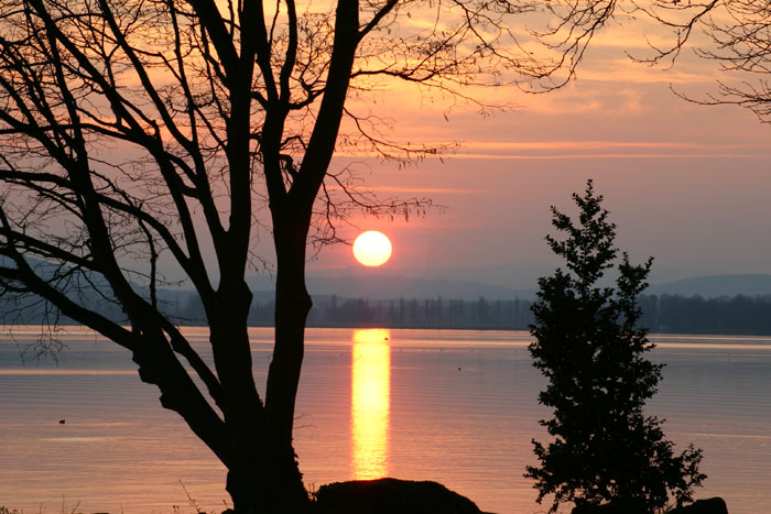 Sonnenuntergang Mettnau Radolfzell Bodensee