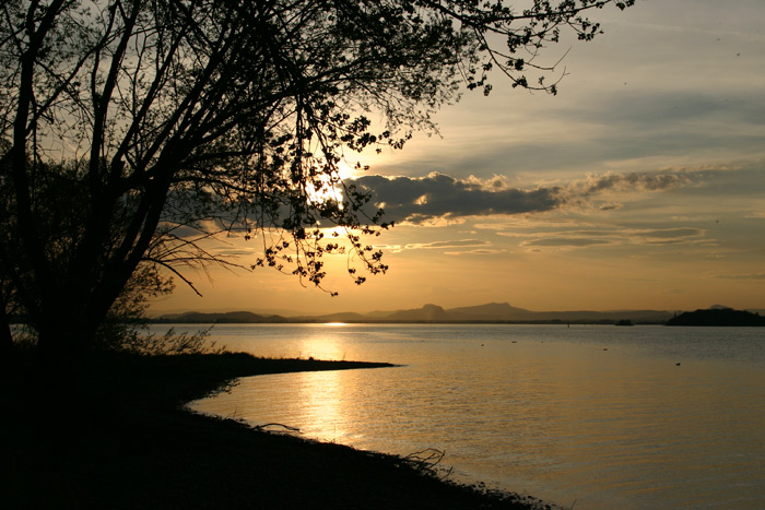 Insel Reichenau Sonnenuntergang Hegau