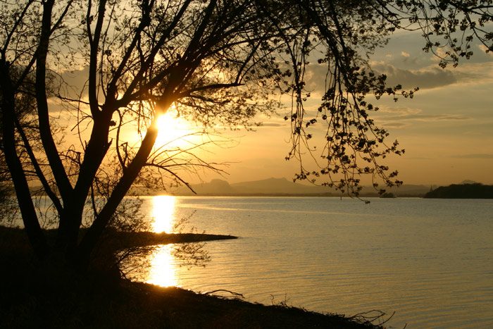 Insel Reichenau Sonnenuntergang Hegau