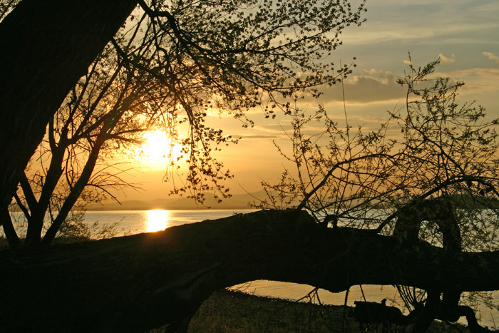 Insel Reichenau Sonnenuntergang Hegau