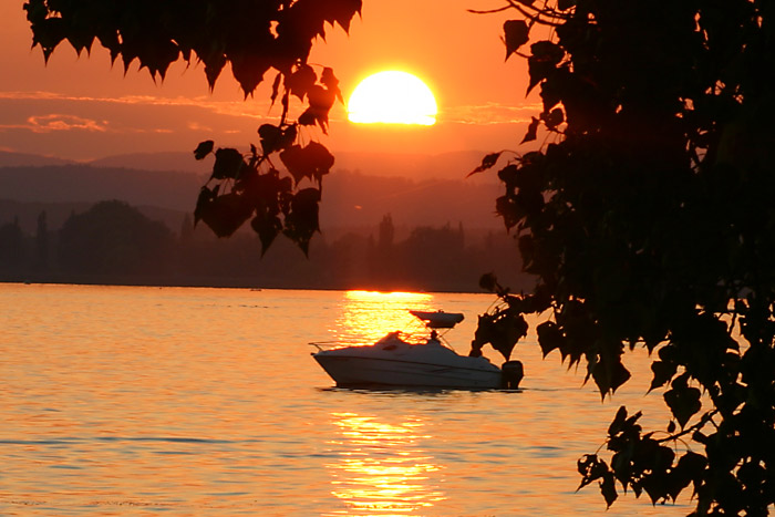 Sonnenuntergang Mettnau Radolfzell Wassersport