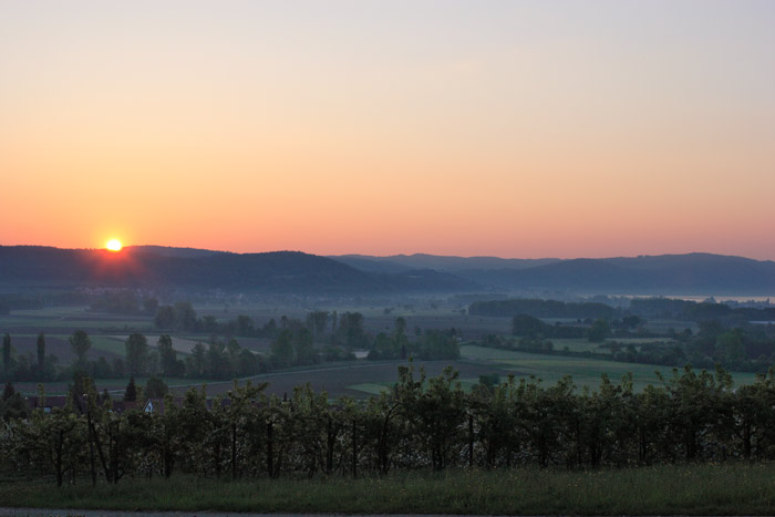 Sonnenaufgang Espasingen Wahlwies 