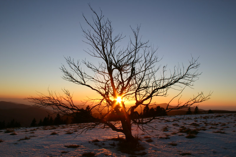 Sonnenuntergang Feldberg Belchen Schnee