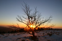 Sonnenuntergang Feldberg