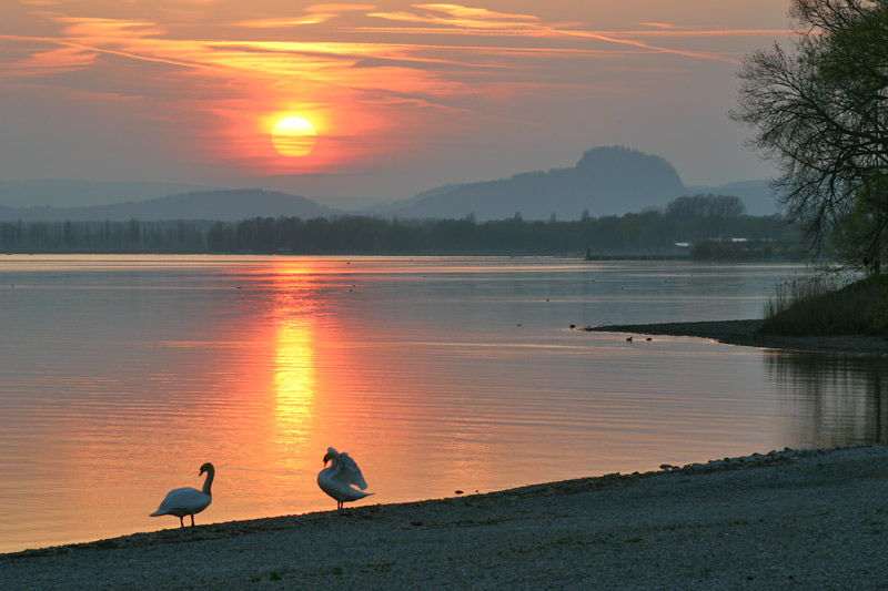 Sonnenuntergang Hohentwiel Bodensee Mettnau Radolfzell