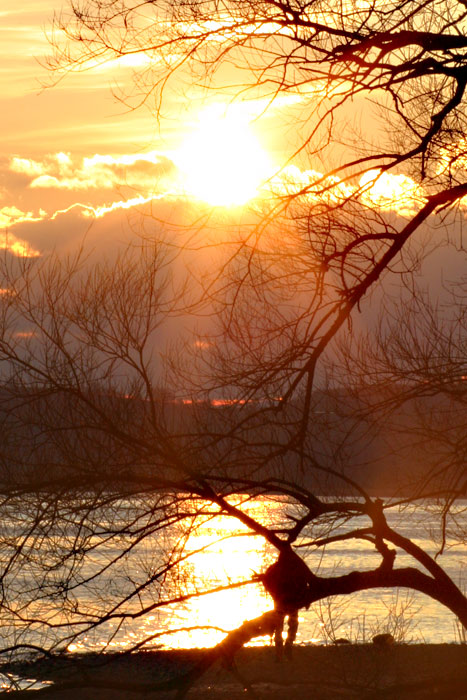 Sonnenuntergang Mettnau Radolfzell Bodensee