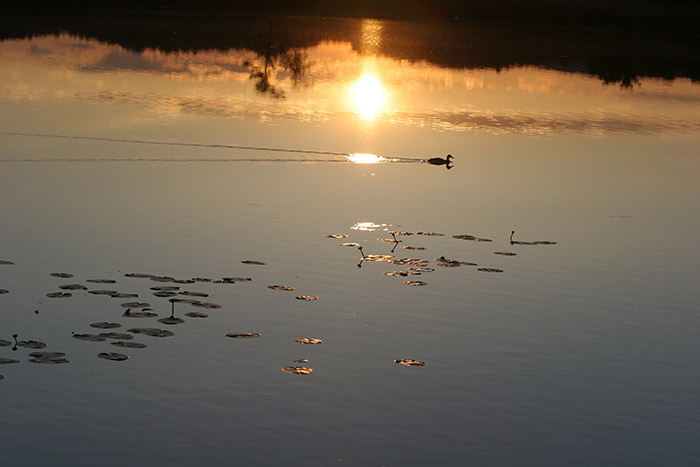 Mindelsee