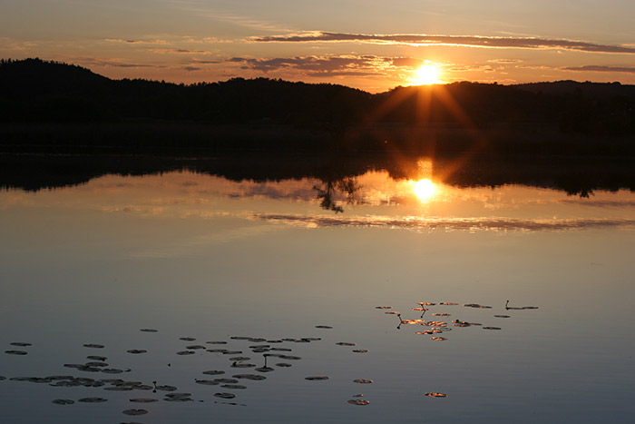 Mindelsee Sonnenuntergang