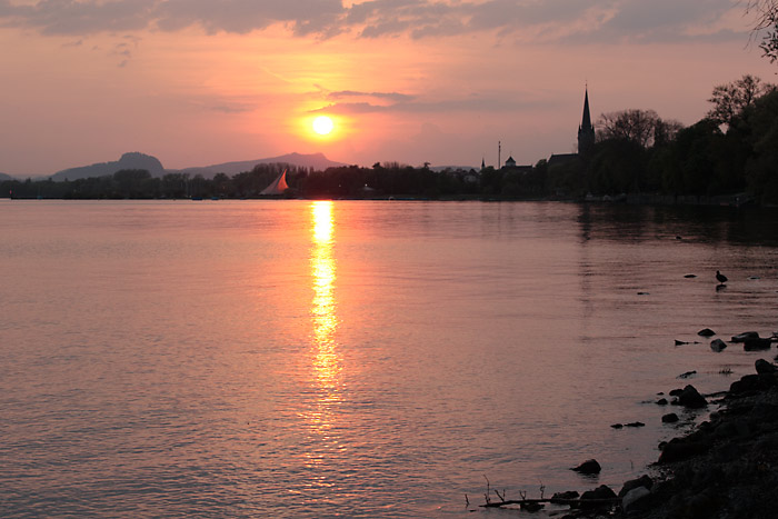 Radolfzeller Mnster Hegau Sonne Bodensee