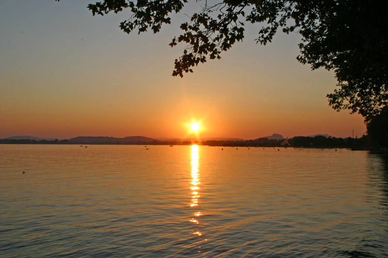 Sonnenuntergang Mettnau Radolfzell Hegau