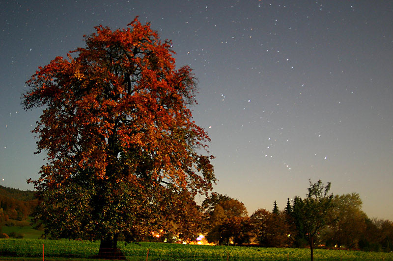Sternbild Orion Mondschein Herbstfrbung 