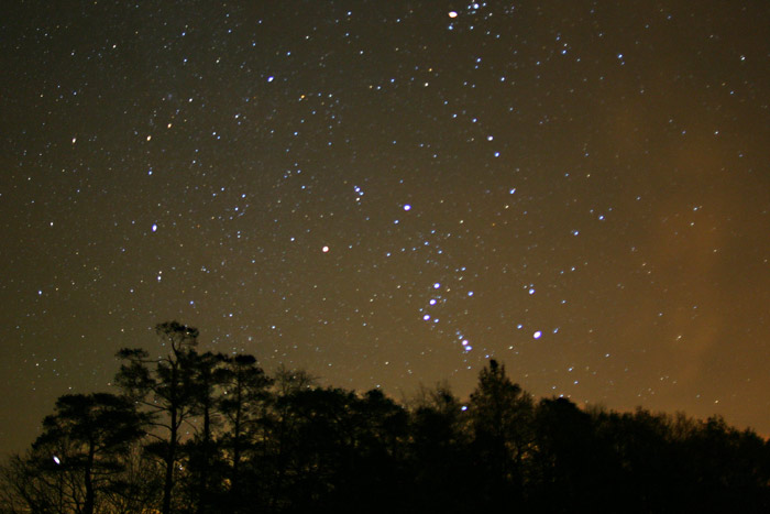 Sternbild Orion