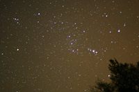 Orion